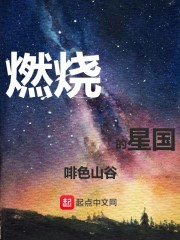 燃烧的星国