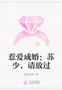 惹爱成婚：苏少，请放过