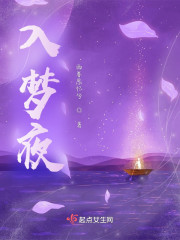 入梦夜" width="120" height="150"