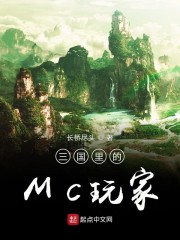 三国里的MC玩家