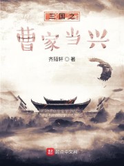 三国之曹家当兴