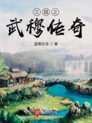 三国之武穆传奇