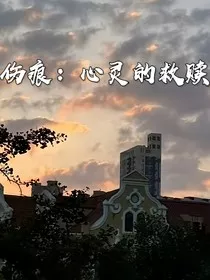 伤痕：心灵的救赎" width="120" height="150"