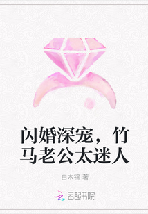 闪婚深宠，竹马老公太迷人