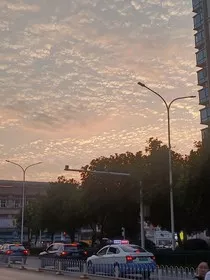 闪耀姜与将" width="120" height="150"