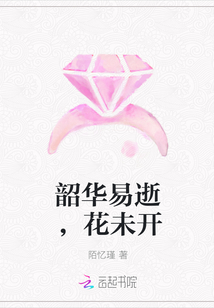 韶华易逝，花未开