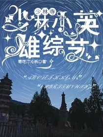 少林英雄综艺节目" width="120" height="150"