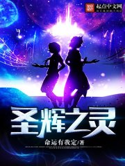 圣辉之灵" width="120" height="150"