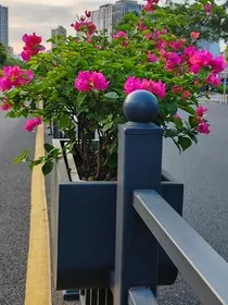 生活里的生活" width="120" height="150"