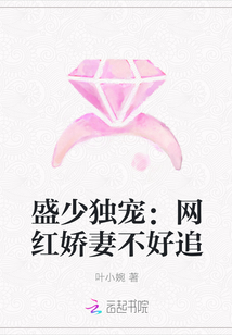 盛少独宠：网红娇妻不好追