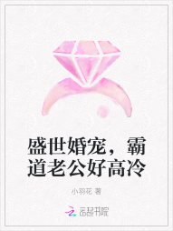 盛世婚宠，霸道老公好高冷" width="120" height="150"