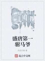 盛唐第一驸马爷" width="120" height="150"