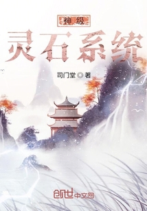 神级灵石系统" width="120" height="150"