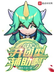 什么叫开团型辅助啊" width="120" height="150"