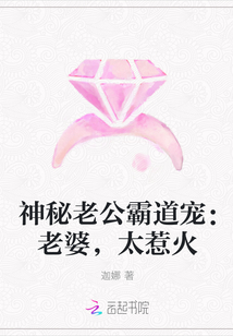 神秘老公霸道宠：老婆，太惹火