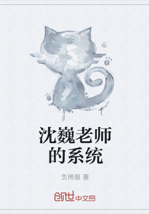 沈巍老师的系统