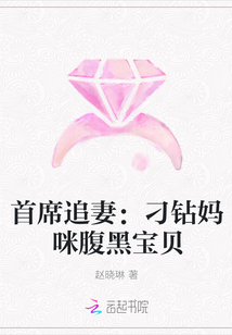 首席追妻：刁钻妈咪腹黑宝贝