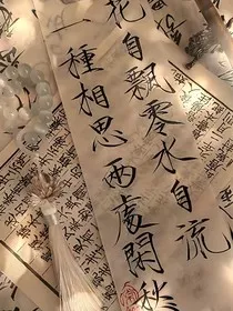 双楠趣事录：穿越时空的笑料" width="120" height="150"