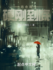 四合院：硬刚到底" width="120" height="150"