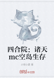 四合院：诸天mc空岛生存