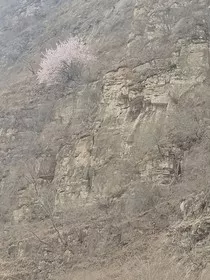死亡或是新生" width="120" height="150"