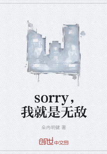 sorry，我就是无敌