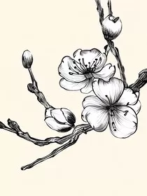 随笔小说使用" width="120" height="150"
