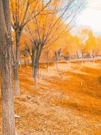 岁序更新" width="120" height="150"