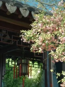 探案吗？边吵架边破案的那种" width="120" height="150"