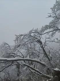 棠溪岁时记" width="120" height="150"