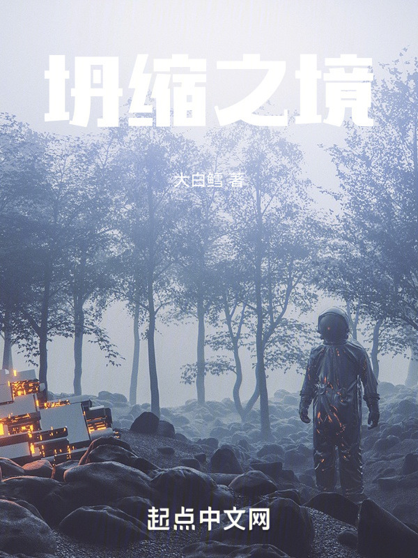 坍缩之境" width="120" height="150"