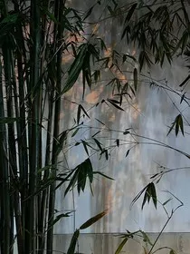 特校：念念不忘" width="120" height="150"