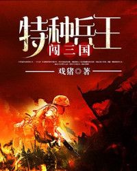 特种兵王闯三国