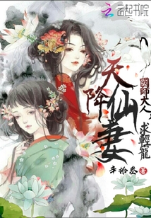 天降仙妻：国师大人，求轻宠