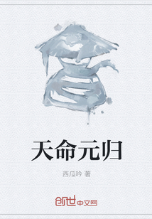 天命元归" width="120" height="150"