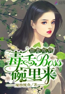 甜妻驾到：毒舌BOSS碗里来