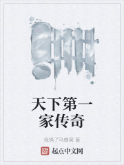 天下第一家传奇" width="120" height="150"