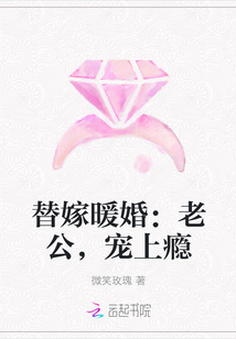 替嫁暖婚：老公，宠上瘾