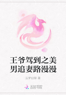 王爷驾到之美男追妻路漫漫