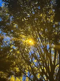 忘忧草：莫比乌斯环：克莱因蓝" width="120" height="150"