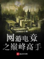 网游电竞之巅峰高手" width="120" height="150"