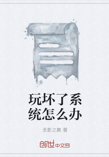 玩坏了系统怎么办" width="120" height="150"
