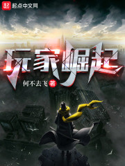 玩家崛起" width="120" height="150"