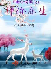 微小说集之伴你余生" width="120" height="150"