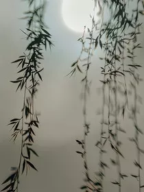 我暗恋着一个女孩" width="120" height="150"