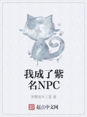 我成了紫名NPC