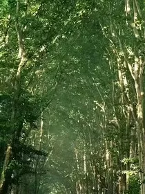 我的爱人二十五岁" width="120" height="150"