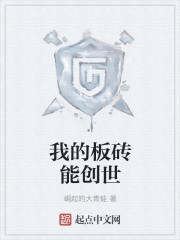 我的板砖能创世