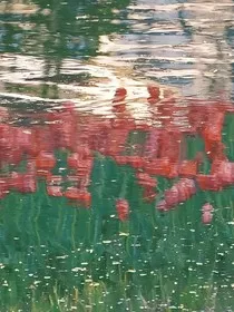 我的电子日记" width="120" height="150"