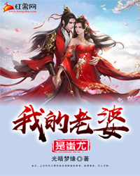 我的老婆是魔尊